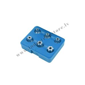1/2'' TORX MUCIŅU KOMPLEKTS 6VIEN