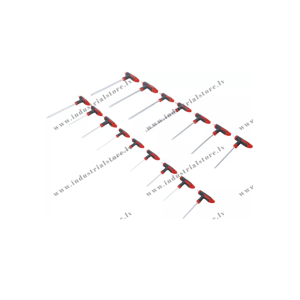 TORX UN IEKŠĒJU 6KT SKRŪVGRIEŽU KOMPLEKTS AR T-VEIDA ROKTURI 16 GAB.