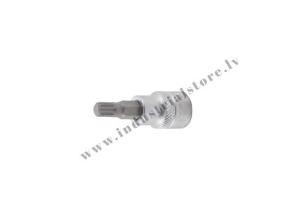 Xzn skrūvēšanas uzgalis 3/8'' muciņā 55mm
